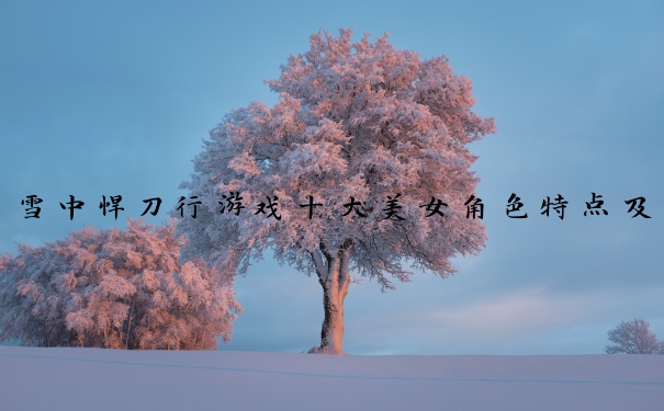 雪中悍刀行游戏十大美女角色特点及攻略