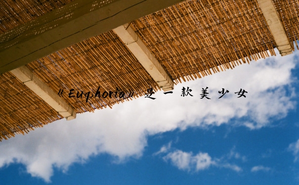 《Euphoria》是一款美少女游戏，以下是针对该游戏的攻略建议：注意事项在二周目之后，探索过程可以选择“探索结束”直接跳过，不影响剧情发展。玩到Staff名单出来后请不要退出游戏，ED之后还有大量剧情，特别是合欢线以及Euphoria线，那ED其实只是个OP，之后才是真正的开始。推荐攻略顺序梨香线菜月线凛音线合欢线鬼畜线Euphoria线 Normal EndEuphoria True End。详细攻略梨香线：【开始游戏】【Save 1】 留在这个房间 Bad End【Load 1】 朝着门的方向【Save 2】 莳羽梨香 去找找厕所 去找饮用水 去中央的监视器装置 在意镶着玻璃的房间【Save 3】 但是... Bad End【Load 3】 绝对不能犹豫了 祭奠 梨香 End。菜月线：【Load 1】 葵菜月 结束探索 葵菜月 葵菜月 葵菜月 葵菜月 菜月 End。凛音线：【Load 1】 白夜凛音 结束探索 白夜凛音 白夜凛音 白夜凛音 白夜凛音【Save 4】 才不需要借助这种女人的双手 Bad End【Load 4】 必须集中精神救出凛音【Save 5】 Bad End【Load 5】 不行，一定要回到地面! 凛音 End。合欢线：【Load 1】 真中合欢 结束探索 真中合欢 真中合欢 真中合欢 真中合欢做我该做的要杀她的话就先杀了我啊! 合欢 End / Normal End。鬼畜线：【Load 6】 我不想看了… 拷问 鬼畜 End。Euphoria线：【开始游戏】 直奔主题进入正篇 帆刈叶 无论如何还是要选叶 结束探索 我一直都想这样做的 帆刈叶 帆刈叶 帆刈叶 帆刈叶不够严厉真不爽 ………不想说 好好的让她产生做狗的自觉 拷问否定要杀她的话就先杀了我啊!是游戏的话也未尝不好吧…BAD END。建议在每个周目中，制作者名单第一次播放时，不要退出游戏，后面才是真正剧情。二周目之后的探索过程可以选择“探索结束”直接跳过，以节省时间。希望这些攻略能帮助你更好地享受游戏。